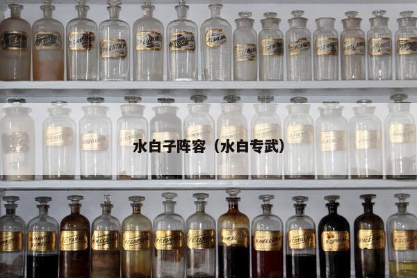 水白子阵容（水白专武）