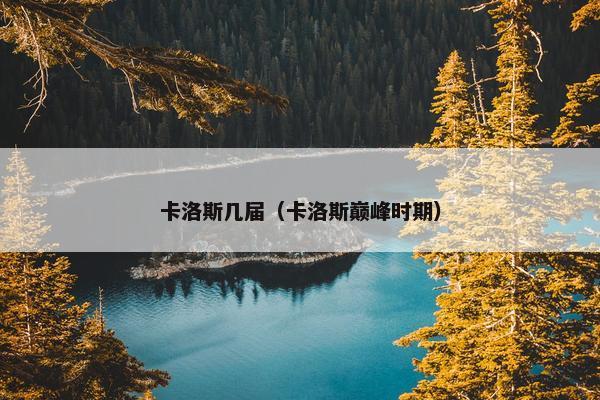 卡洛斯几届（卡洛斯巅峰时期）