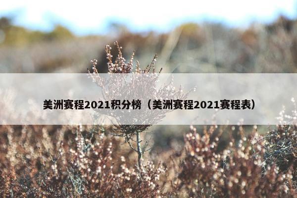 美洲赛程2021积分榜（美洲赛程2021赛程表）