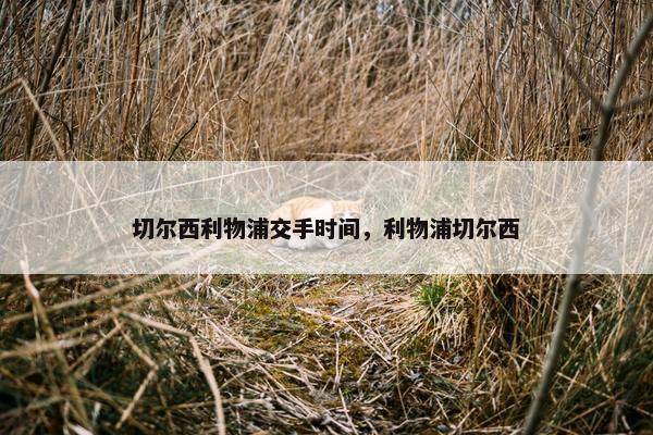 切尔西利物浦交手时间，利物浦切尔西