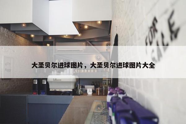 大圣贝尔进球图片，大圣贝尔进球图片大全