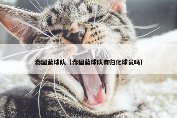 泰国蓝球队（泰国蓝球队有归化球员吗）