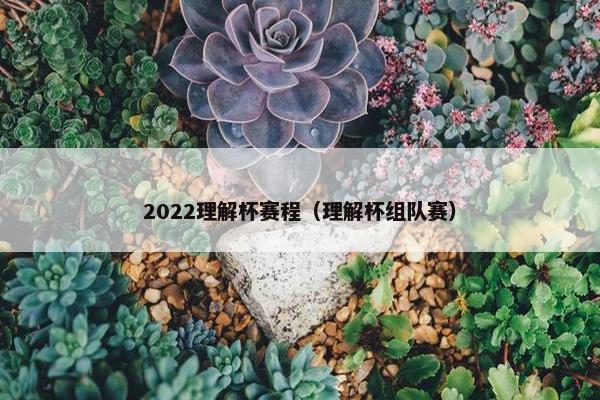 2022理解杯赛程（理解杯组队赛）