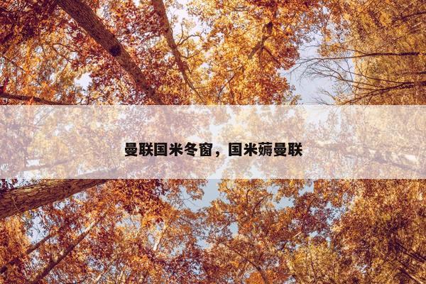 曼联国米冬窗，国米薅曼联