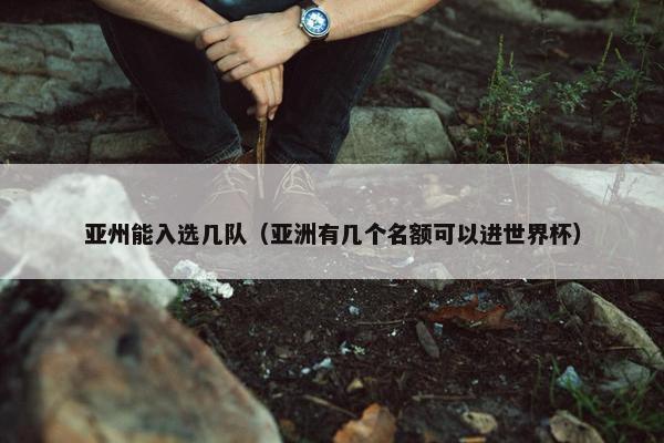 亚州能入选几队（亚洲有几个名额可以进世界杯）