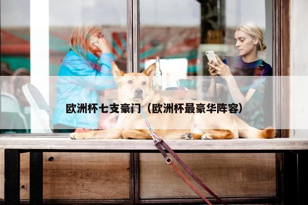 欧洲杯七支豪门（欧洲杯最豪华阵容）