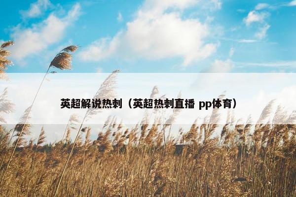 英超解说热刺（英超热刺直播 pp体育）