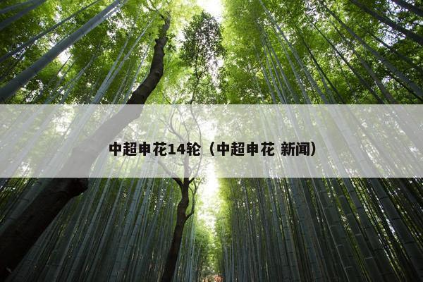 中超申花14轮（中超申花 新闻）