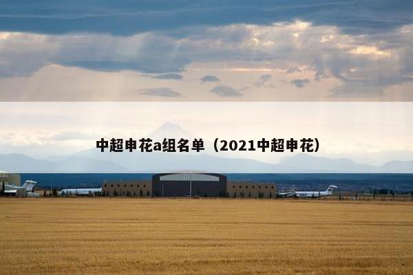 中超申花a组名单（2021中超申花）