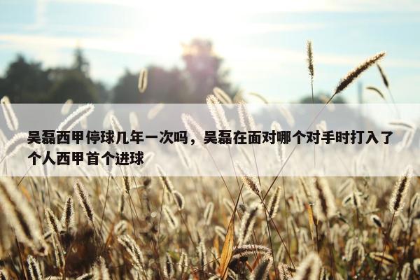 吴磊西甲停球几年一次吗，吴磊在面对哪个对手时打入了个人西甲首个进球