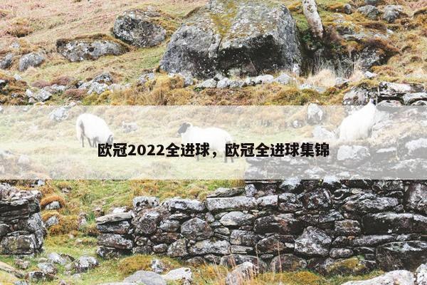 欧冠2022全进球，欧冠全进球集锦