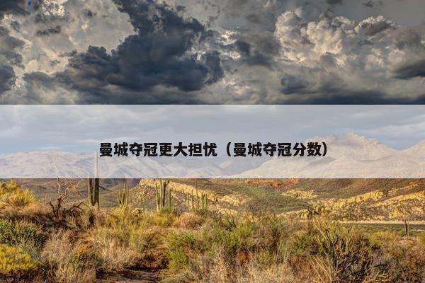 曼城夺冠更大担忧（曼城夺冠分数）
