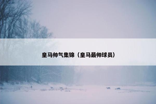 皇马帅气集锦（皇马最帅球员）