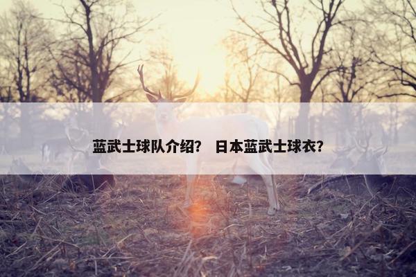 蓝武士球队介绍？ 日本蓝武士球衣？