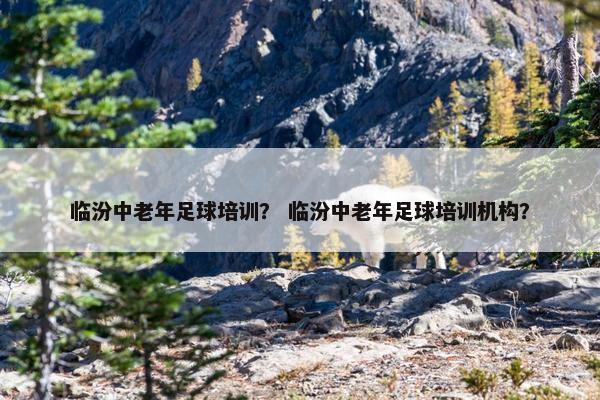临汾中老年足球培训？ 临汾中老年足球培训机构？