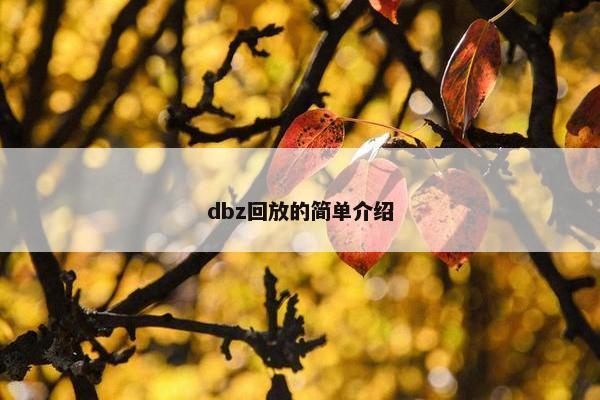 dbz回放的简单介绍