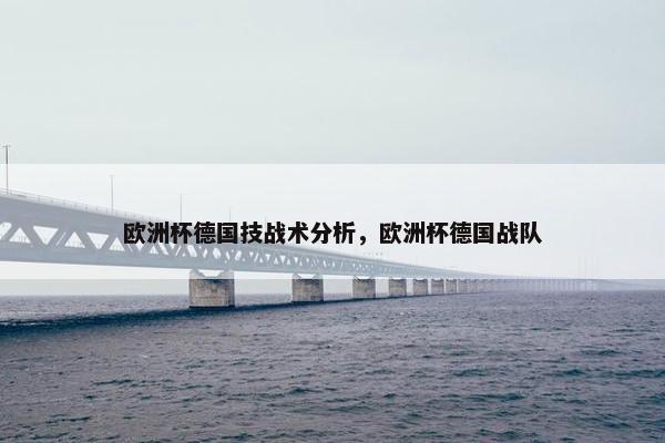 欧洲杯德国技战术分析，欧洲杯德国战队