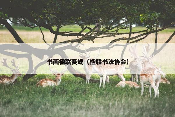 书画楹联赛规（楹联书法协会）