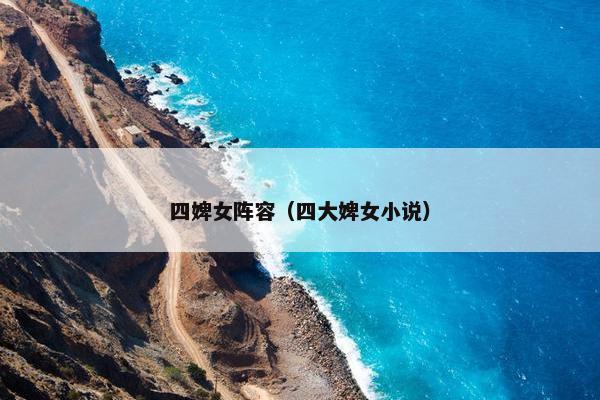 四婢女阵容（四大婢女小说）