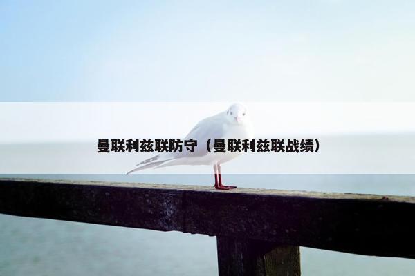 曼联利兹联防守（曼联利兹联战绩）
