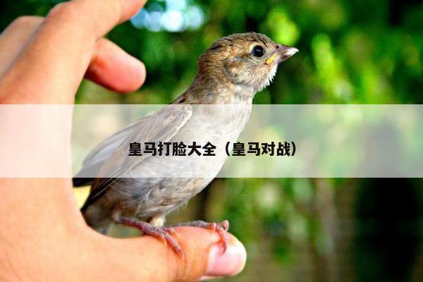 皇马打脸大全（皇马对战）