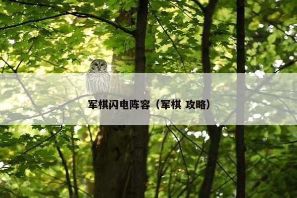 军棋闪电阵容（军棋 攻略）