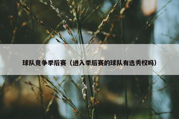 球队竞争季后赛（进入季后赛的球队有选秀权吗）