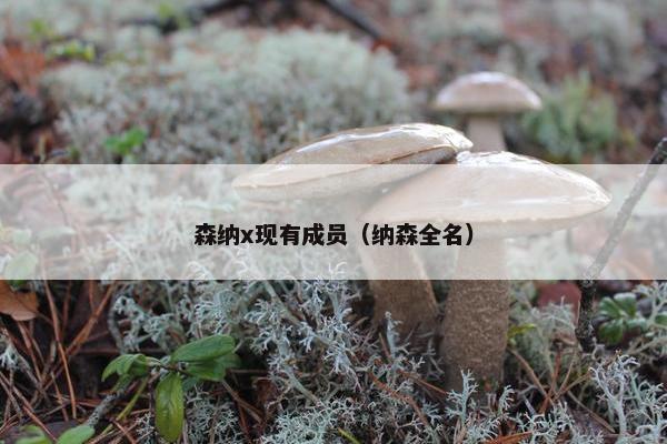 森纳x现有成员（纳森全名）