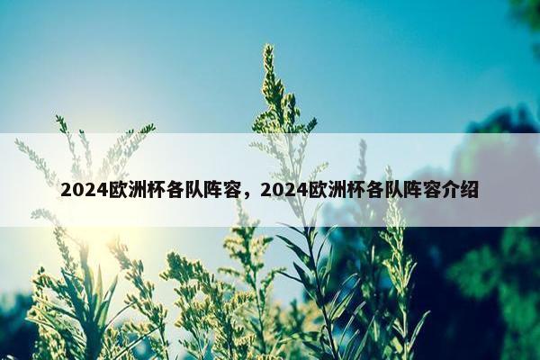 2024欧洲杯各队阵容，2024欧洲杯各队阵容介绍