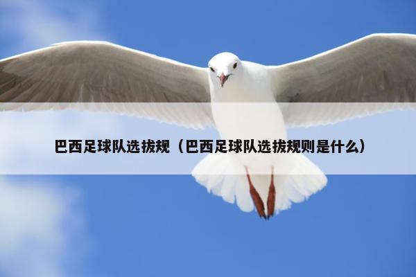 巴西足球队选拔规（巴西足球队选拔规则是什么）