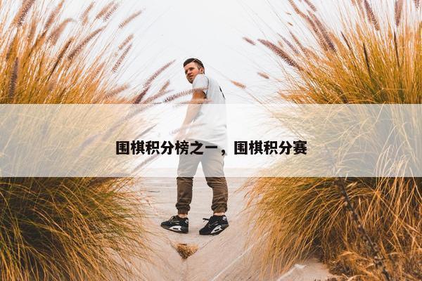 围棋积分榜之一，围棋积分赛