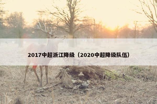 2017中超浙江降级（2020中超降级队伍）