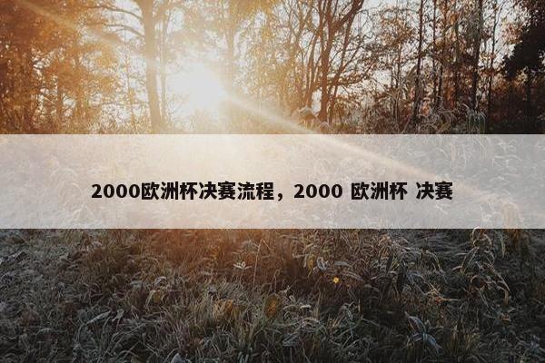 2000欧洲杯决赛流程，2000 欧洲杯 决赛