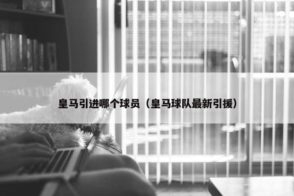 皇马引进哪个球员（皇马球队最新引援）