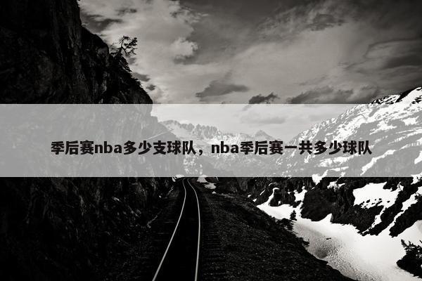 季后赛nba多少支球队，nba季后赛一共多少球队