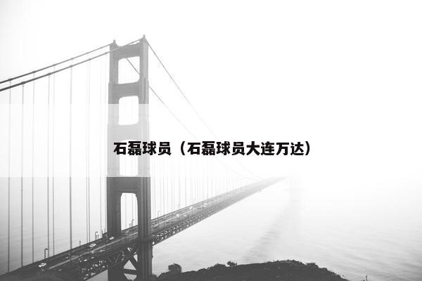 石磊球员（石磊球员大连万达）