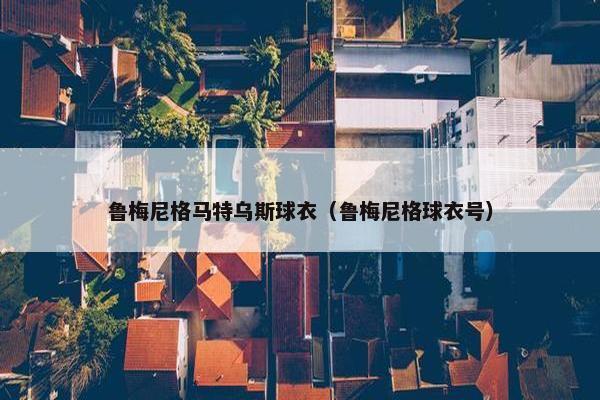 鲁梅尼格马特乌斯球衣（鲁梅尼格球衣号）