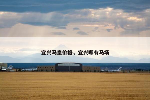 宜兴马皇价格，宜兴哪有马场