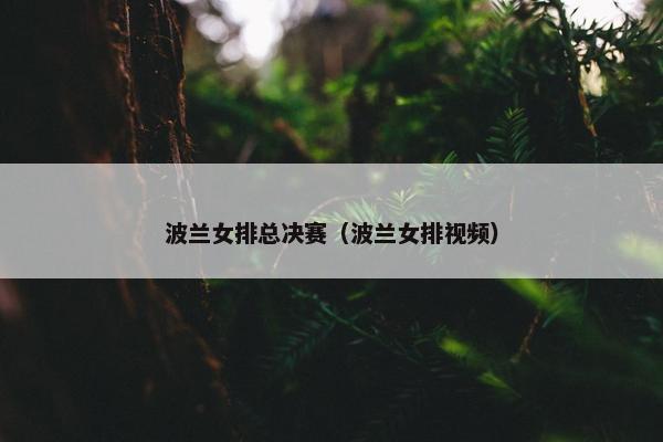 波兰女排总决赛(波兰女排视频) 波兰女排总决赛(波兰女排视频)