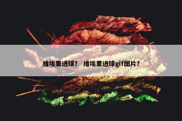 维埃里进球？ 维埃里进球gif图片？