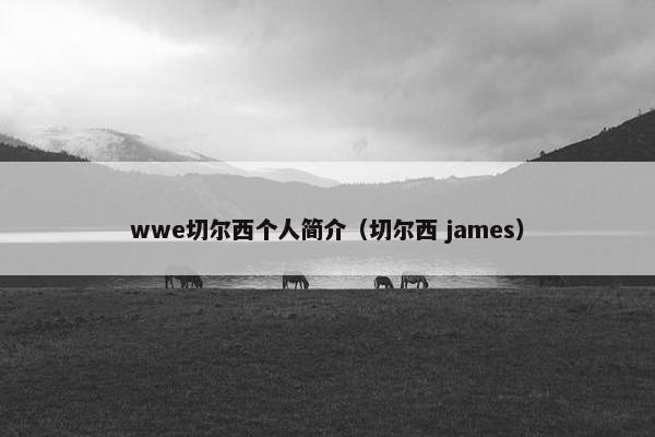 wwe切尔西个人简介（切尔西 james）