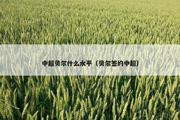 中超贝尔什么水平（贝尔签约中超）