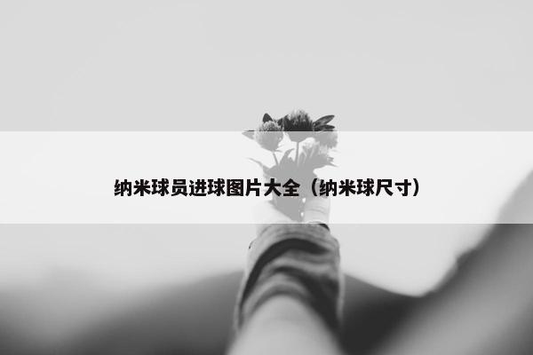 纳米球员进球图片大全（纳米球尺寸）