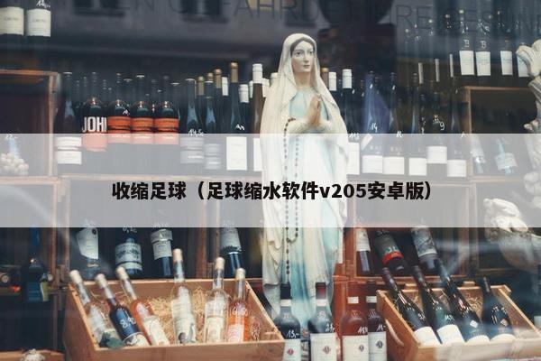 收缩足球（足球缩水软件v205安卓版）