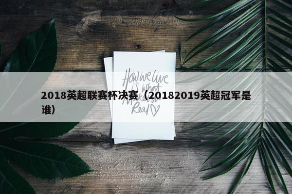 2018英超联赛杯决赛（20182019英超冠军是谁）