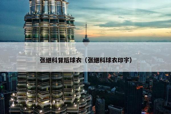 张继科背后球衣（张继科球衣印字）