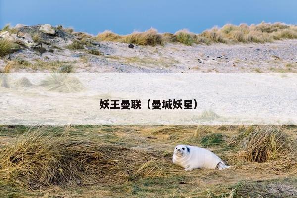 妖王曼联（曼城妖星）