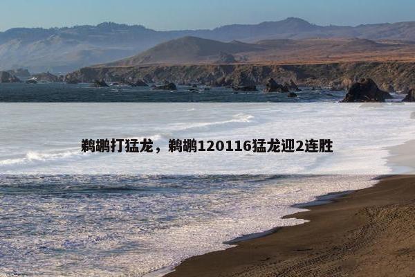 鹈鹕打猛龙，鹈鹕120116猛龙迎2连胜