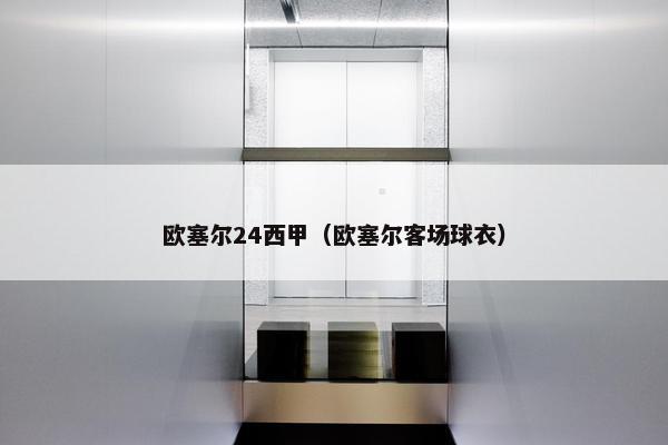 欧塞尔24西甲（欧塞尔客场球衣）
