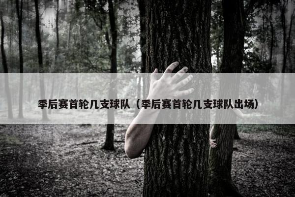季后赛首轮几支球队（季后赛首轮几支球队出场）